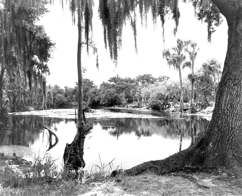 vintage photo of golf course 