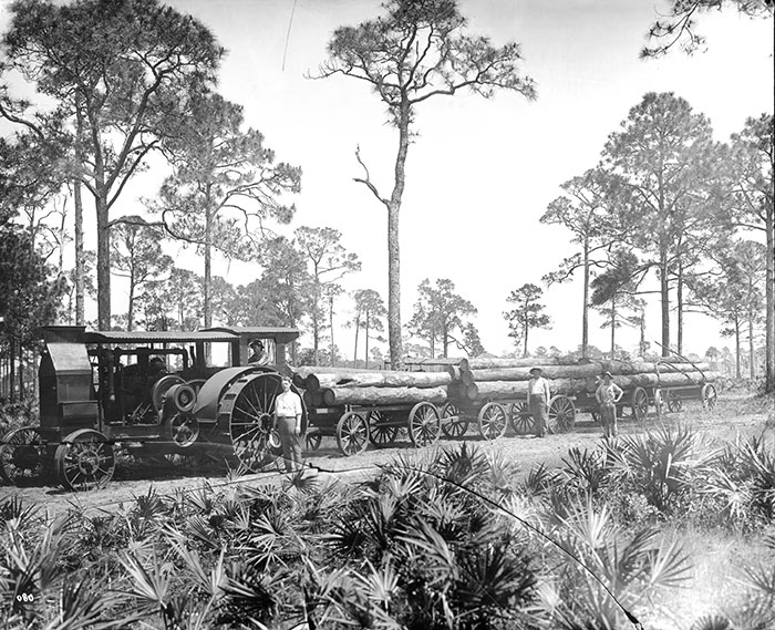 vintage photo of golf course 