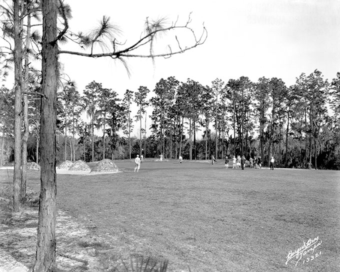 golf course green