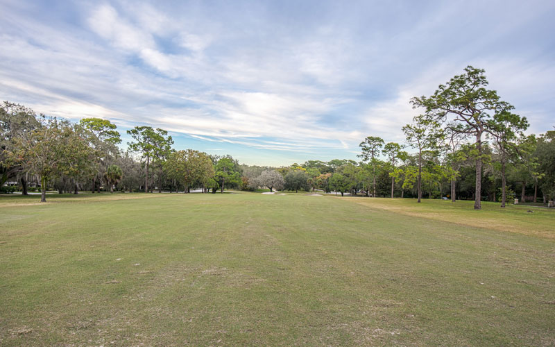 golf course green