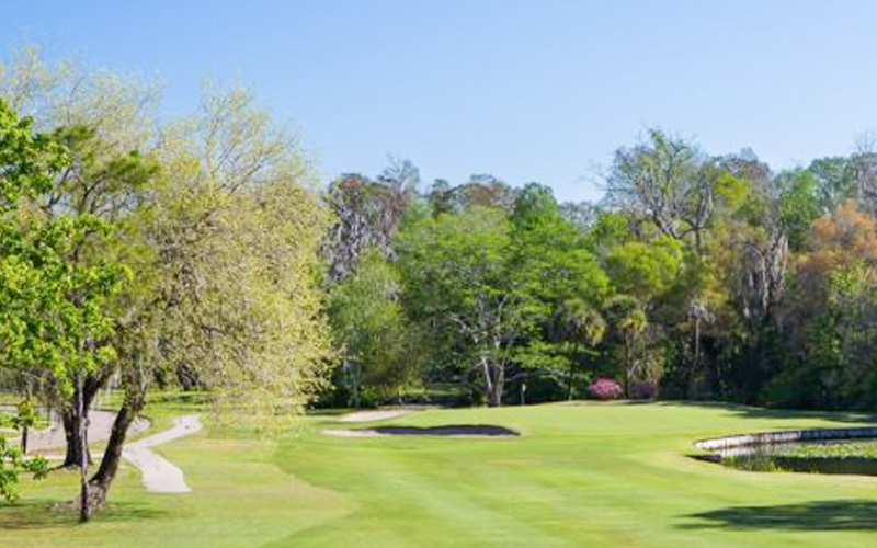 GOlf course with trees