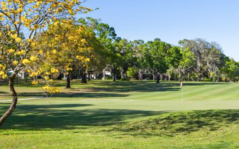 golf course on sunny day