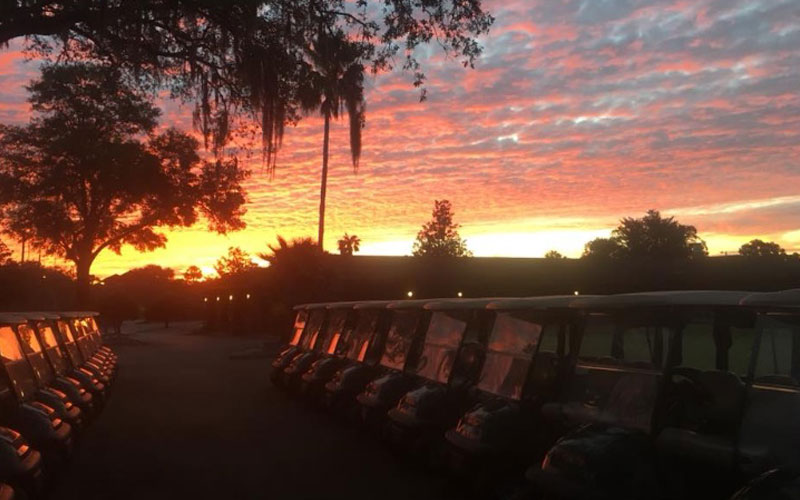 row of golf carts at sunset