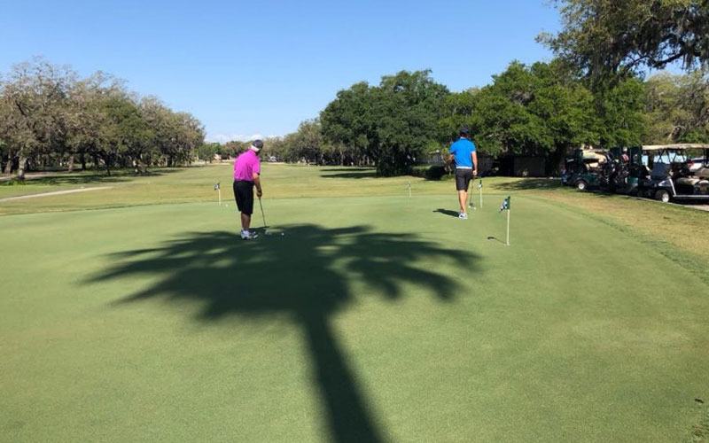 tree shadow on golf course